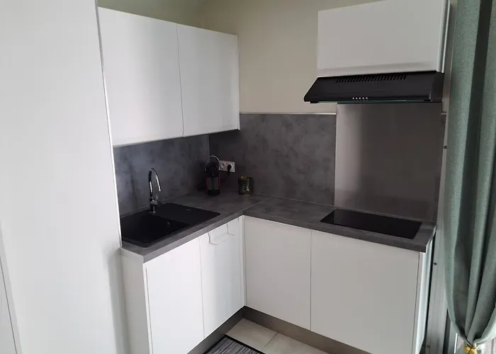Apartamento Le Colisée, Superbe Rez De Jardin Rénové Avec Parking, Clim Et Wifi