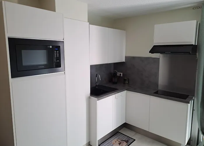 Le Colisee, Superbe Rez De Jardin Renove Avec Parking, Clim Et Wifi Apartmán *