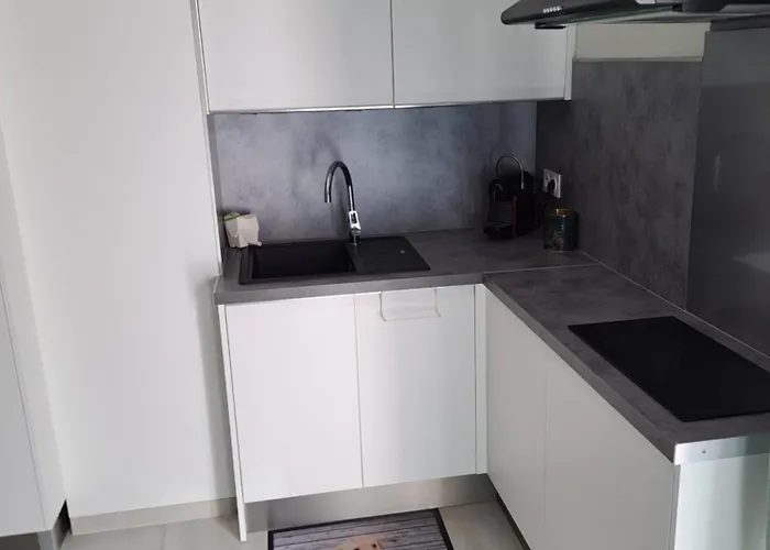 Apartamento Le Colisée, Superbe Rez De Jardin Rénové Avec Parking, Clim Et Wifi