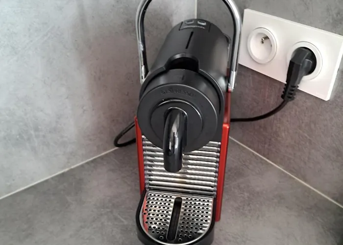 Le Colisée, Superbe Rez De Jardin Rénové Avec Parking, Clim Et Wifi Apartamento